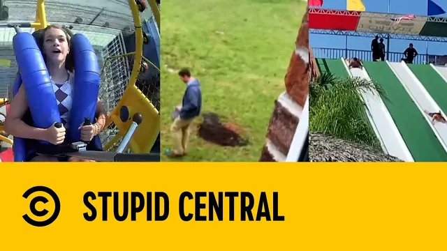 Amusing Amusement Parks | Stupid Central
