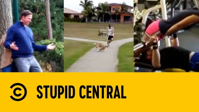 Funniest Falls Ever | Stupid Central